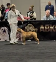 processed/b46ad231-2ead-44d2-b271-977f4ef3a462/listing/1f6dae3f-0d8f-4c8a-95f8-6e08d7db9099/acb73d56-3acb-41ca-8782-44e22698bb06