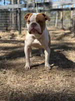 processed/b46ad231-2ead-44d2-b271-977f4ef3a462/listing/554147b2-ba0d-4017-a769-cc85743a762f/5fdcf31d-8c98-417b-9469-f9f6f97b81f4