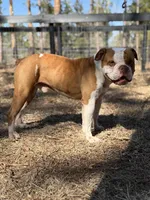 processed/b46ad231-2ead-44d2-b271-977f4ef3a462/listing/554147b2-ba0d-4017-a769-cc85743a762f/8e652b71-6f48-4ce8-99a7-d6b234928bbc