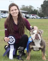 Iris , a female Olde English Bulldogge for sale in Ocala, FL – Photo 10 of 10