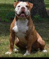 processed/b46ad231-2ead-44d2-b271-977f4ef3a462/listing/a232b92f-be22-4624-b610-f5c6c9faa9db/224d85cf-f018-41c3-9c43-6558103275a8