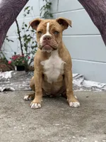 processed/b46ad231-2ead-44d2-b271-977f4ef3a462/listing/a232b92f-be22-4624-b610-f5c6c9faa9db/bc5ee065-25b4-474a-a226-1fb8ce82c4d7