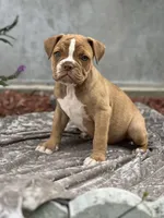 processed/b46ad231-2ead-44d2-b271-977f4ef3a462/listing/a232b92f-be22-4624-b610-f5c6c9faa9db/e91f8025-86c5-4958-8c98-08f3b13826f2