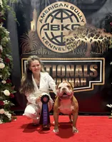 Sara , a female Olde English Bulldogge for sale in Dunnellon, FL – 10 of 10