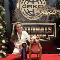 Cassinia, a female Olde English Bulldogge for sale in Ocala, FL – Photo 10 of 10