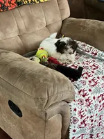 processed/b474b5aa-a263-42b0-af6d-99db4f578ca9/listing/95fd8ef4-1f35-46de-85cf-897ac1854e9a/65709a59-1d25-4cc7-b64a-a9032afd1aeb