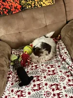 processed/b474b5aa-a263-42b0-af6d-99db4f578ca9/listing/95fd8ef4-1f35-46de-85cf-897ac1854e9a/a4c02faf-35a9-4100-be0d-c13a130eb41b