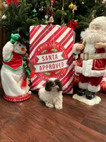 processed/b474b5aa-a263-42b0-af6d-99db4f578ca9/listing/95fd8ef4-1f35-46de-85cf-897ac1854e9a/fdcca808-f313-4ebd-9966-91d57eed076f