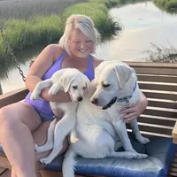 💐Blossom 🌸, a female Labrador Retriever for sale in Andrews, SC – Photo 5 of 9