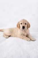 processed/b47641c2-99b2-41b7-b82c-447da5896705/listing/34dbbf31-f45f-495f-a4a3-1a81c127fb4e/3483e483-1a9f-4298-86bf-e84c6a848c06