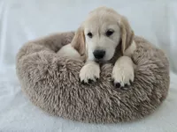 processed/b47641c2-99b2-41b7-b82c-447da5896705/listing/36b02411-0948-470c-8ad7-756f4736f9ef/4abfb884-a228-48d8-a724-92a19375eefc