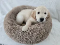 processed/b47641c2-99b2-41b7-b82c-447da5896705/listing/36b02411-0948-470c-8ad7-756f4736f9ef/6c500c06-964a-4ff6-999a-4971ee50d97f