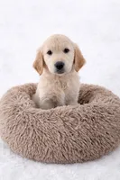 processed/b47641c2-99b2-41b7-b82c-447da5896705/listing/36b02411-0948-470c-8ad7-756f4736f9ef/6d7ee9cf-c255-468f-924d-c61597b76984