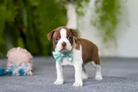 processed/b47c6668-ff37-4b9d-b604-830445638ef9/listing/8e8cb4de-b435-4fab-97a5-e43e75281711/3fb2f47f-4289-4b48-b4fa-e914357afbf3