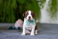 processed/b47c6668-ff37-4b9d-b604-830445638ef9/listing/8e8cb4de-b435-4fab-97a5-e43e75281711/66d198fb-8d5e-41f1-96de-fb46f0cd3ddf