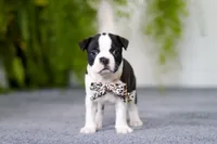 processed/b47c6668-ff37-4b9d-b604-830445638ef9/listing/917f3f7a-c392-4c17-a124-13d35c50dce8/0f1973c1-7b0f-49a9-b911-b4505df98e03