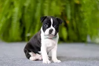 processed/b47c6668-ff37-4b9d-b604-830445638ef9/listing/d8e17ba1-9c34-49ce-b824-8fbc72a75470/3e2f3061-d3e0-430e-b78a-fa51db6563fa