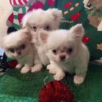 processed/b485c7a3-8720-496e-8c2d-8cf1651d05d7/facility/00182b97-3e7c-478a-b997-1b215c850828