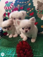 processed/b485c7a3-8720-496e-8c2d-8cf1651d05d7/facility/00182b97-3e7c-478a-b997-1b215c850828