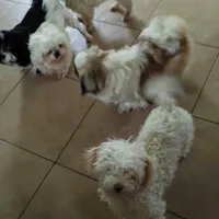 processed/b485c7a3-8720-496e-8c2d-8cf1651d05d7/facility/09d568f7-df9b-4372-8cf8-547a271c35af