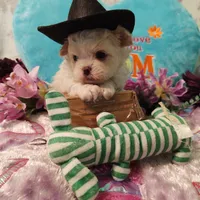 processed/b485c7a3-8720-496e-8c2d-8cf1651d05d7/facility/0f909de0-6405-404d-804a-fc338a521060