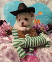 processed/b485c7a3-8720-496e-8c2d-8cf1651d05d7/facility/0f909de0-6405-404d-804a-fc338a521060