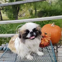 processed/b485c7a3-8720-496e-8c2d-8cf1651d05d7/facility/1c97d547-1c43-40e2-82e2-1ac12cce70f9