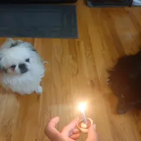 processed/b485c7a3-8720-496e-8c2d-8cf1651d05d7/facility/764c399a-70e7-4047-8b1a-b724b6cd8661