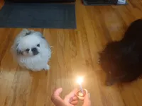 processed/b485c7a3-8720-496e-8c2d-8cf1651d05d7/facility/764c399a-70e7-4047-8b1a-b724b6cd8661