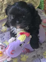 processed/b485c7a3-8720-496e-8c2d-8cf1651d05d7/facility/78a936be-e982-4584-9692-a8479cfe593e