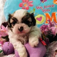 processed/b485c7a3-8720-496e-8c2d-8cf1651d05d7/facility/7c294236-87cc-48bd-935d-0132e5bb02d5