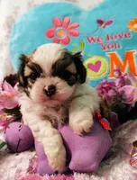 processed/b485c7a3-8720-496e-8c2d-8cf1651d05d7/facility/7c294236-87cc-48bd-935d-0132e5bb02d5