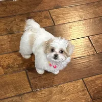 processed/b485c7a3-8720-496e-8c2d-8cf1651d05d7/facility/b6a6f29b-7904-4081-89b0-132e5c2d7c8e