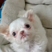 processed/b485c7a3-8720-496e-8c2d-8cf1651d05d7/facility/e45a2bfa-262c-4d43-a013-af9ec246bc5c