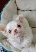 processed/b485c7a3-8720-496e-8c2d-8cf1651d05d7/facility/e45a2bfa-262c-4d43-a013-af9ec246bc5c