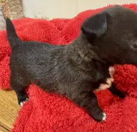 processed/b48d5f30-58eb-4595-8b6c-853352ec9e23/listing/5aee631b-ff34-4c9e-aa7a-a47d8c051c6a/37e3c28b-5751-491a-930d-f527be192fa6