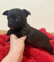 processed/b48d5f30-58eb-4595-8b6c-853352ec9e23/listing/5aee631b-ff34-4c9e-aa7a-a47d8c051c6a/9b0ae22b-768b-4ed2-abad-38b056fdf6c8