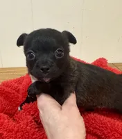 processed/b48d5f30-58eb-4595-8b6c-853352ec9e23/listing/5aee631b-ff34-4c9e-aa7a-a47d8c051c6a/c9a52476-6c9f-4ae3-9969-b00a26827d20