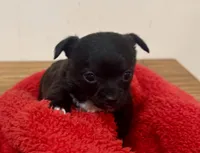 processed/b48d5f30-58eb-4595-8b6c-853352ec9e23/listing/5aee631b-ff34-4c9e-aa7a-a47d8c051c6a/f04865d7-c0c9-41da-b627-d533cbdf1d3e