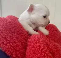 processed/b48d5f30-58eb-4595-8b6c-853352ec9e23/listing/6a7b0f52-4e45-47a5-b7e3-36c3f5839039/25b67cab-d869-44dc-9a52-c111b3b948d6