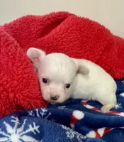 processed/b48d5f30-58eb-4595-8b6c-853352ec9e23/listing/6a7b0f52-4e45-47a5-b7e3-36c3f5839039/4d97f9f4-a8e0-4de5-9036-b81327c81ed3