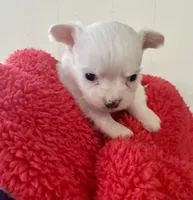 processed/b48d5f30-58eb-4595-8b6c-853352ec9e23/listing/6a7b0f52-4e45-47a5-b7e3-36c3f5839039/d6c9bf94-f12a-43bf-b8fc-6d6a09ad1335