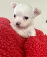 processed/b48d5f30-58eb-4595-8b6c-853352ec9e23/listing/6a7b0f52-4e45-47a5-b7e3-36c3f5839039/f037ef7f-bf08-45d8-9ba0-8949e1531d02