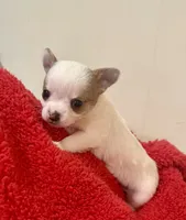 processed/b48d5f30-58eb-4595-8b6c-853352ec9e23/listing/fb1f9e18-73a7-41ce-a457-c83d289a7630/1b01cb78-f783-4a20-b6ab-03cc35db090f