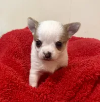 processed/b48d5f30-58eb-4595-8b6c-853352ec9e23/listing/fb1f9e18-73a7-41ce-a457-c83d289a7630/1e1f8e59-f98b-4192-8426-679b32aa96d0