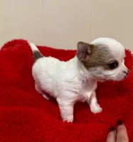 processed/b48d5f30-58eb-4595-8b6c-853352ec9e23/listing/fb1f9e18-73a7-41ce-a457-c83d289a7630/a199e402-4342-48f2-9d63-6daffbd16b5d