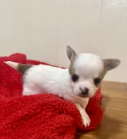 processed/b48d5f30-58eb-4595-8b6c-853352ec9e23/listing/fb1f9e18-73a7-41ce-a457-c83d289a7630/f1b918a4-174b-43d6-ae53-3354f1b1a2a3