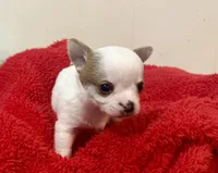 processed/b48d5f30-58eb-4595-8b6c-853352ec9e23/listing/fb1f9e18-73a7-41ce-a457-c83d289a7630/fdfdb15a-968c-40d9-bd8b-14b4ff236109