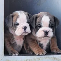 processed/b48d67aa-1c0d-458c-9e5c-ee63aa6d921b/facility/04c9431c-2678-4f4c-8ee9-8a23749fdb44