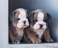 processed/b48d67aa-1c0d-458c-9e5c-ee63aa6d921b/facility/04c9431c-2678-4f4c-8ee9-8a23749fdb44